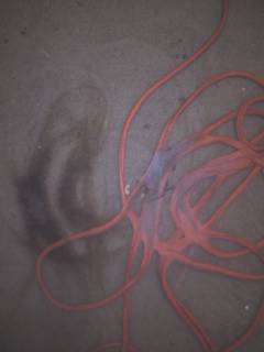Burned carpet - Space heater did this to my carpet