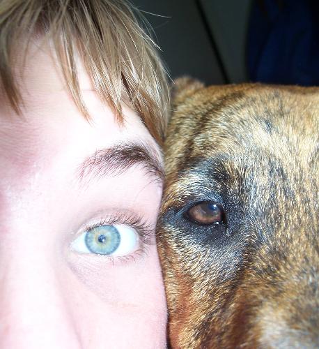 we seee you - my eye, dogs eye!