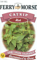 Catnip seeds - catnip seeds