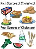cholesterol - What should I eat and not eat? I really don't know.