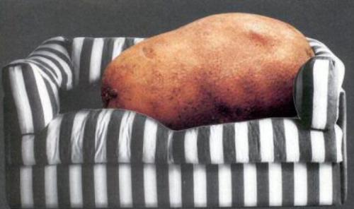Couch potato. - Look at what the TV has done to a man.