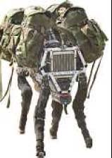 Dog-robot - A new instrument of war? Or can serve to help humanity?