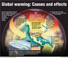 Global warming effects and actions - Everybody should contribute in efforts to ontain global warming.