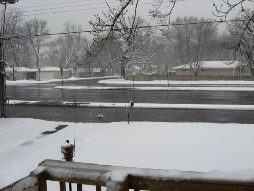 Nasty Minnesota March Weather - From my front deck. The roads are wet and slippery as heck.