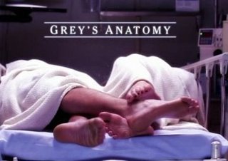 Grey's Anatomy - Grey's Anatomy Series