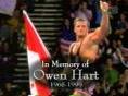 owen avatar - owen hart avatar