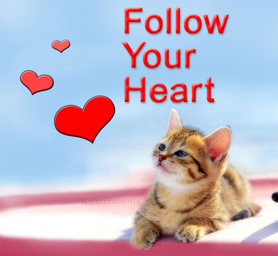 follow your heart - Following what our heart says is real tough job but becomes very easy when we are either mad or blind in love.