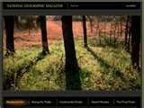 Clearing woods - This is what we want our woods to look like, nice and pretty