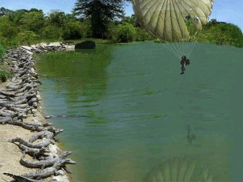 Dangerous landing - would u like to see Dangerous landing then see this image