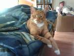 My Drake!! - My Drake is the king of the castle!!