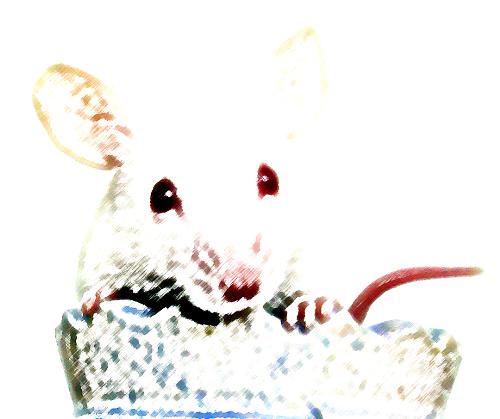 White mouse - White mouse. Adult, female.