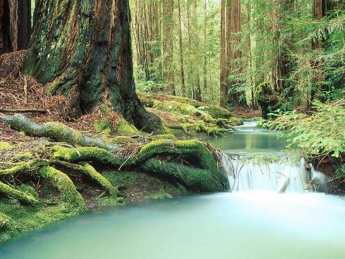 Stream - We dont love our nature enough. These are places that keep on vanishing from us. Our future generations would see these only from pictures.