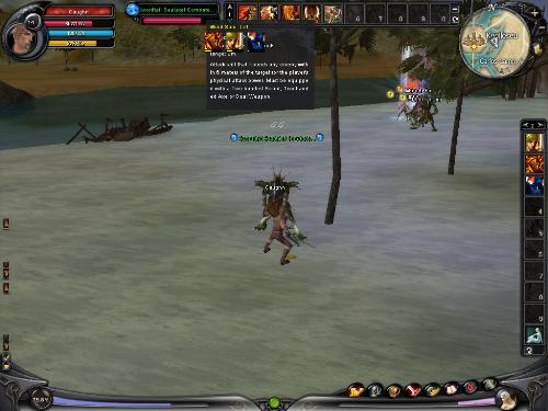Battle in Shaiya. - This is one of the many creatures we fight on the Alliance of light side. It is called a Swordtail Sealakel Wizards, there are a few types of this creature, including to bosses on map 1 alone.