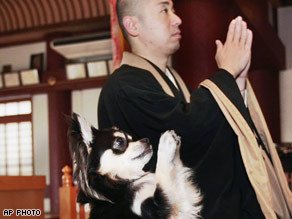 Priest and Dog praying - Priest Joei Yoshikuni and Conan praying