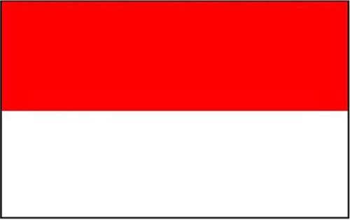 flag - its the indonesian flag