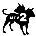 mtv television - television