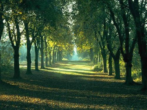 Far - This is what I have on my screen. It is better to look at it since when you look far, its relaxing for your eyes.