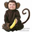 monkey3 - baby in monkey suit