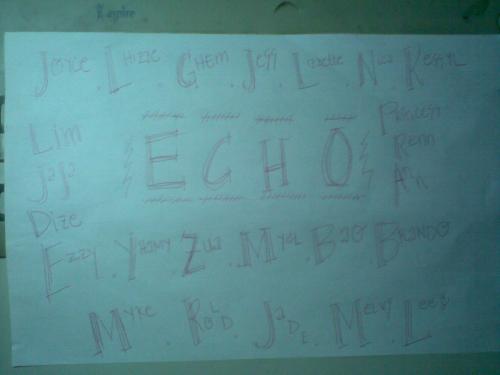 echo -  this is just a fan sign for echo group.