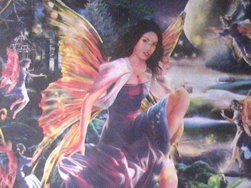 fairy - fairies