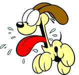 Odie - Dog, a man's best friend - so is mine.