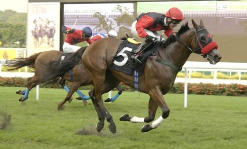 Horse Racing - Horses is one of my favourites too.