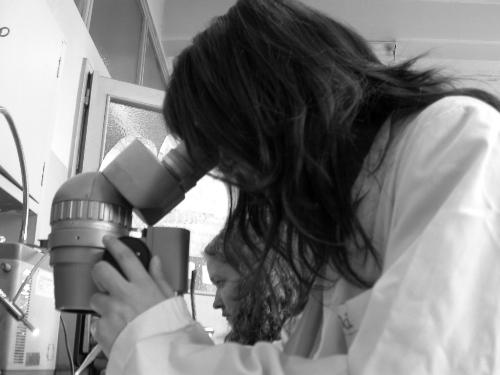 Microscope - Student using a microscope.