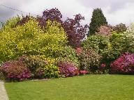 Beautiful Garden - From Garden helper.
