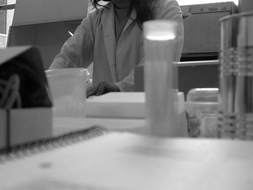 At the bench - PhD student at the bench performing experiments.