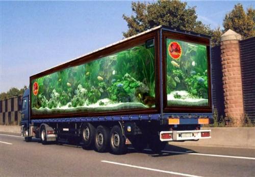 Painted Truck - Look at this amazing painted car. It looks like a moving huge aquarium.