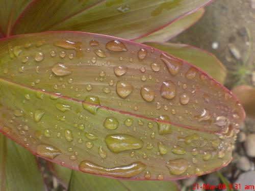 nature - i am a nature love....