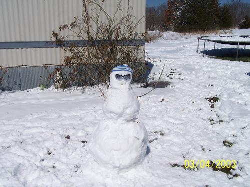 snowman - My daughter created a snowman. Leave it to her to give her snowman personality.