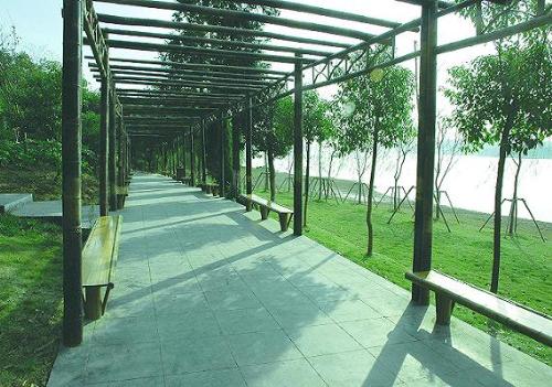 Tianmu Lake - pretty green aisle