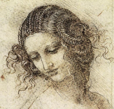 Study for the Head of Leda by Leonardo da vinci - Study for the Head of Leda by Leonardo da vinci image