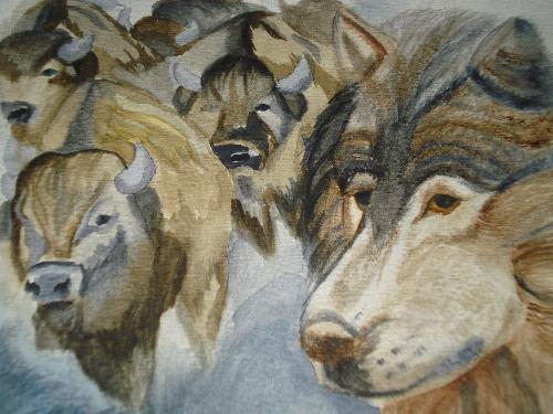 My Art - This is my first attempt at a water colour painting. You care suppose to start with light bases and get darker, it is harder than i thought it would be, but i caught on pretty quick. I started on the Buffalo, and saved the wolf for last.