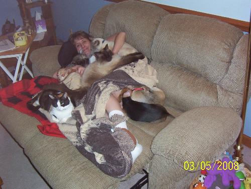 Me and 7 of our fur babies - We have a total of 14 fur babies, 5 dogs and 9 cats