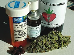 Marinol - Marinol is a synthetic version of THC the primary active ingredient in marijuana
