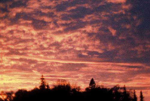Red sunset on way to Chico, CA - this was one where we had to stop by the roadway and take this picture. It was redder than it looks and was so inspiring to us. We were just flabergasted!!!