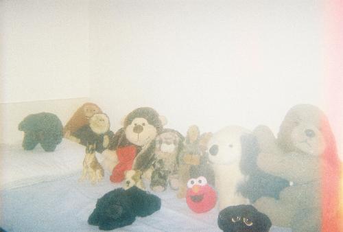 Members Of Russell's Furry Family - My precious friend, Russell, has a large family of stuffed (and otherwise created) animals. He takes very good care of them--and vice-versa!