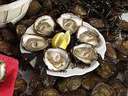oyster - do you like it?