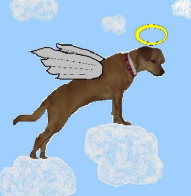 Rosie the Angel Dog! - I had fun making the picture of our dog Rosie as a sweet angel looking out for her family. Our dog Rosie really is a blessing too!