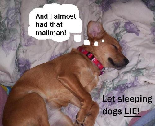 One of my favorite pictures I did of our dog Rosie - I love making silly pictures of our dog and my family and friends, even of myself! I really love this picture especially, it's one of my total favorites of all the ones that I've ever done. One of my favorite pictures I did of our dog Rosie - I love making silly pictures of our dog and my family and friends, even of myself! I really love this picture especially, it's one of my total favorites of all the ones that I've ever done.
