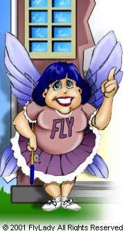 Flylady - I got this off of the website!