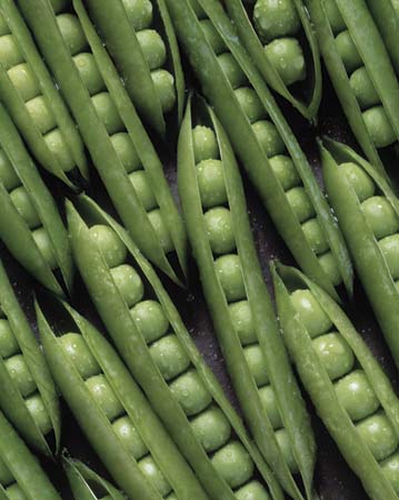 Pods Peas - Whew! I don't know but do you know the health benefits of these peas?