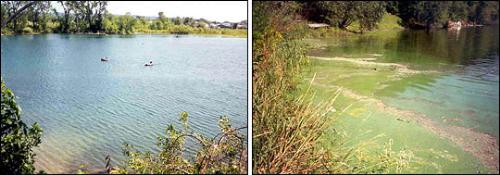 A lake with clean water and polluted water - There are two photos side by side. The first one shows clear and clean water, whereas the second one chemically polluted water.