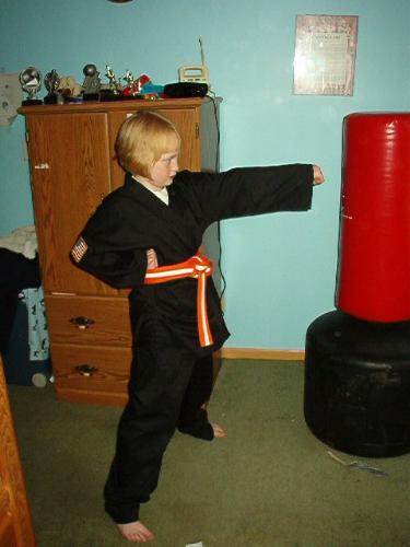 My daughter practicing her karate at home. - Practicing what she learned in class at home.