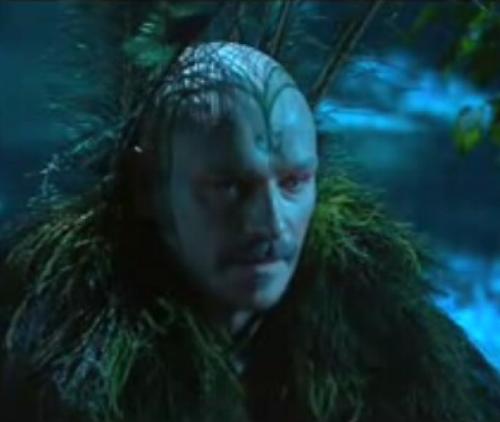 The head of the shamen, - character from nanageddon series 2