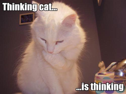 Thinking! - - blogoehlert.typepad.com Thinking! - - blogoehlert.typepad.com
