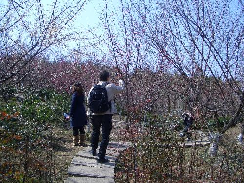 hiking in the country - i love hiking in the country with beautiful flowers and trees everywhere.