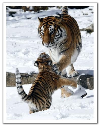 playing - with mom